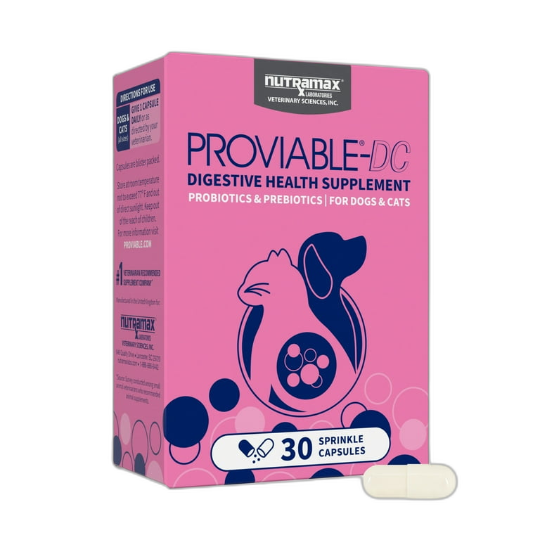 Visbiome Vet High Potency Probiotic for Dogs by Visbiome