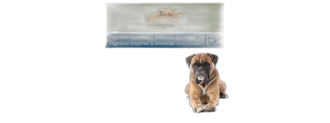 WellyTails Dog Rx Immunity Supplement