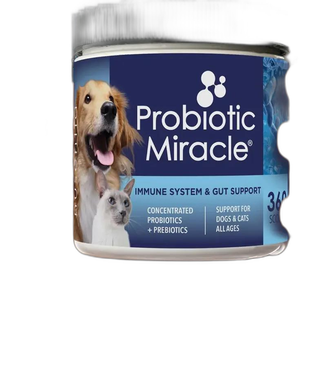 Zesty Paws Gut Health Bites for Dogs